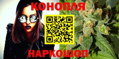 PSILOCYBIN Камышлов