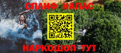 PSILOCYBIN Камышлов
