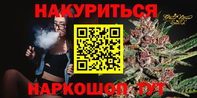 прущие грибы Канаш