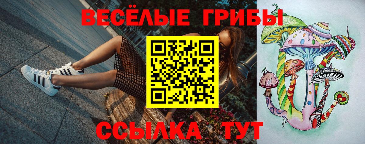 Галлюциногенные грибы Psilocybine cubensis Дмитров