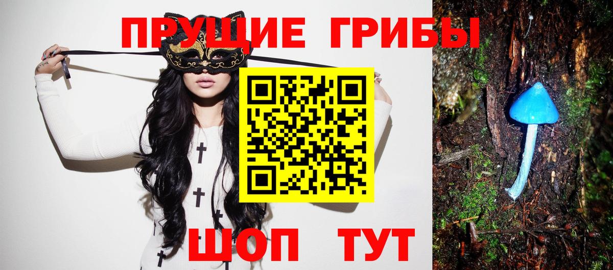 Псилоцибиновые грибы прущие грибы  купить наркоту  Дмитров  Вход с VPN 